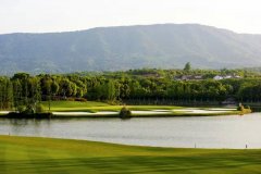 <b>但每年售罄一期没问题</b>